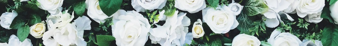 Flores blancas para bodas