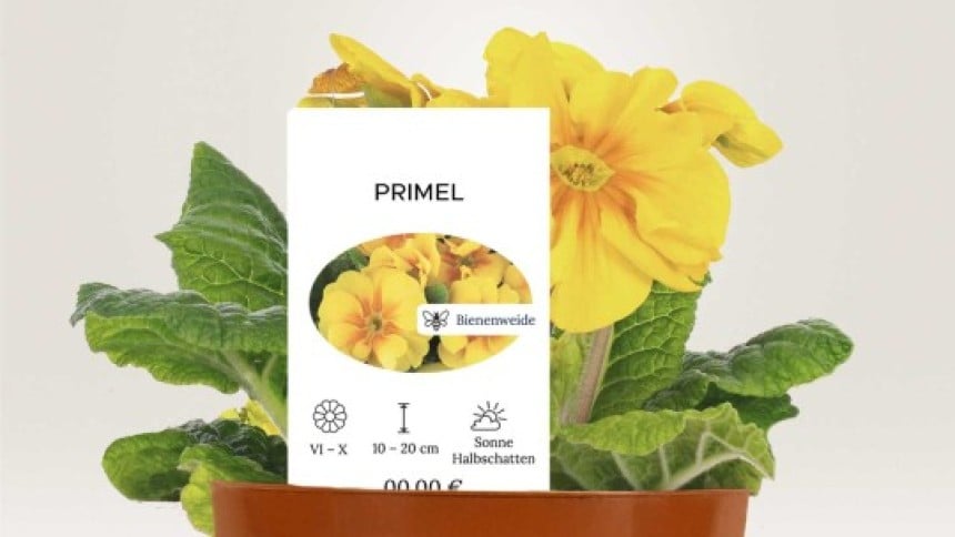 Etiquetas cintas y bucle personalizadas para plantas