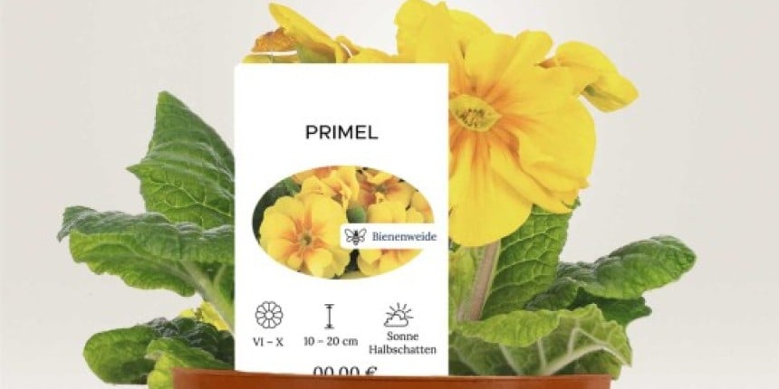 Etiquetas cintas y bucle personalizadas para plantas