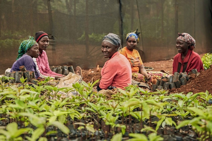 Treedom Farmers