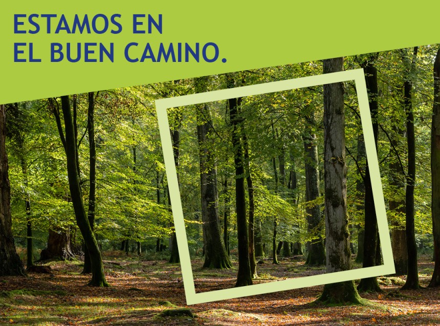 foresta de avery