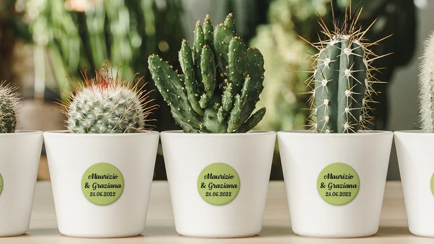 Plantas con etiquetas redondas personalizadas con los nombres de los novios