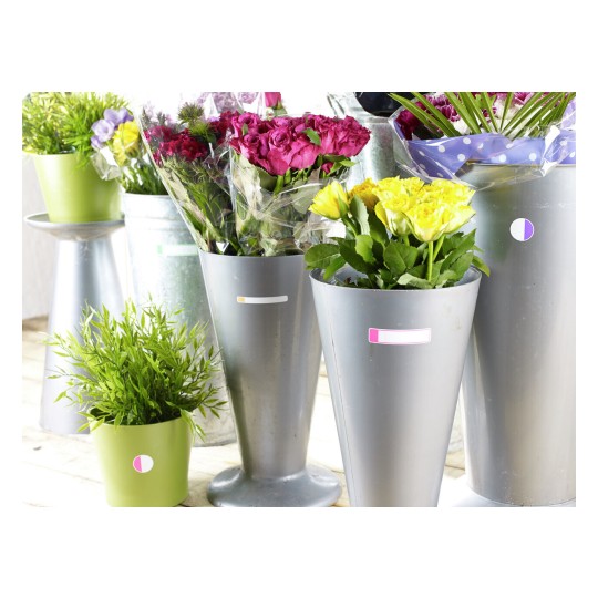 La imagen muestra varios recipientes de metal y plástico con flores de colores brillantes, incluyendo rosas y otras plantas, dispuestos en un ambiente luminoso.
