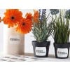 Tres plantas en serie con etiquetas adhesivas personalizadas