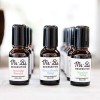 Frascos de cosméticos de vidrio con etiquetas adhesivas que describen el producto