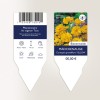 Etiquetas cintas y bucle personalizadas para plantas.