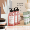 Productos para el cuidado de la piel. Todos los frascos llevan etiquetas rectangulares personalizadas