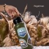 Botella de agua con stickers personalizados