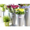 La imagen muestra varios recipientes de metal y plástico con flores de colores brillantes, incluyendo rosas y otras plantas, dispuestos en un ambiente luminoso.